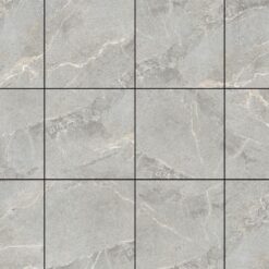 Gạch Á Mỹ 21.A.880.5002
