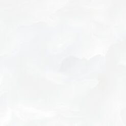 Gạch Á Mỹ 21.B.360.6212