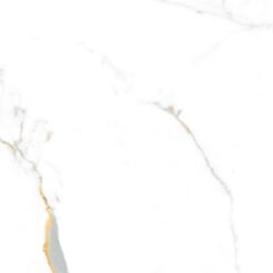 Gạch Á Mỹ 21.B.880.5520