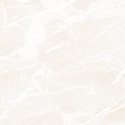 Gạch Ấn Độ HLA48008IM