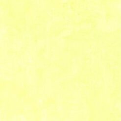 Gạch Ấn Độ HLA66001IM