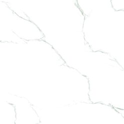 Gạch Ấn Độ HLA66007IM