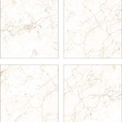 Gạch Ấn Độ HLA66033VA