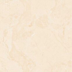 Gạch Apodio 66282013