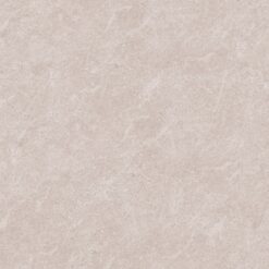 Gạch Apodio 66464008