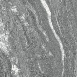 Gạch Apodio MPA12367017