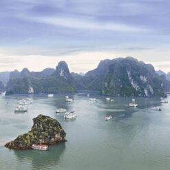 Gạch Prime 05.600860.09136