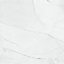 Gạch Taicera GP63905