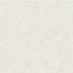Gạch Taicera PC600*298-542N