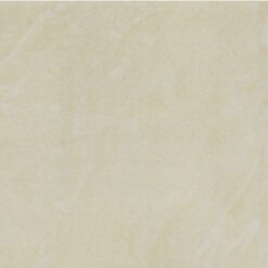 Gạch Taicera PC600*298-543N