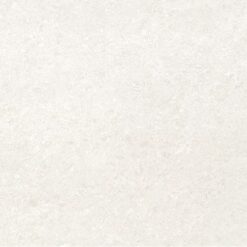 Gạch Taicera PC600*298-702N