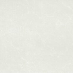 Gạch Taicera PC600*298-762N