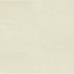 Gạch Taicera PC600*298-763N