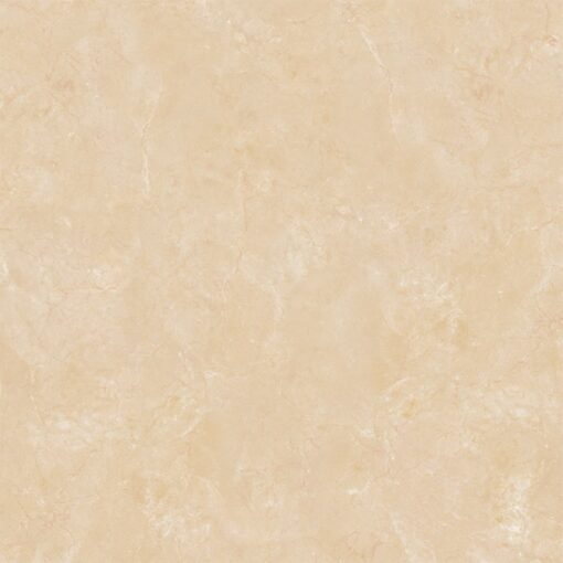 gach viglacera b 6005 1