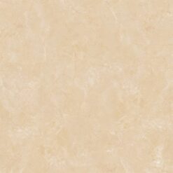 Gạch Viglacera B 6005