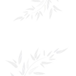 Gạch Viglacera B4501