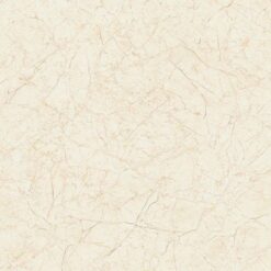 Gạch Viglacera B6010
