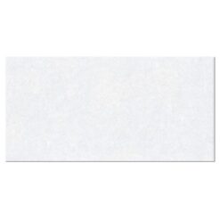 Gạch Viglacera BS 3605