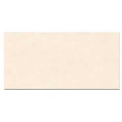 Gạch Viglacera BS 3651