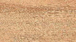 gach viglacera ca10 gk15902 7