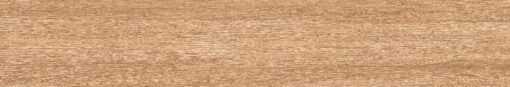 gach viglacera ca9 gk15902 8