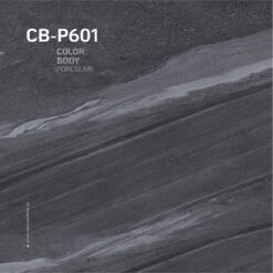Gạch Viglacera CB P601