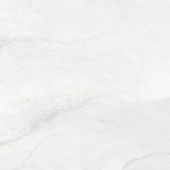 Gạch Viglacera CB-PT61203