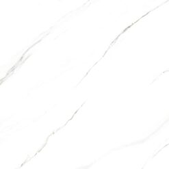 Gạch Viglacera CL1-P121201