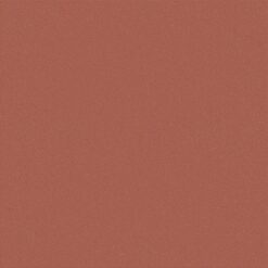 Gạch Viglacera D 401