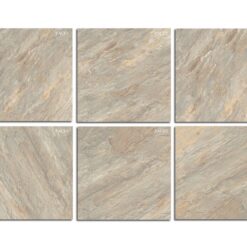 gach viglacera eco 803 1 1