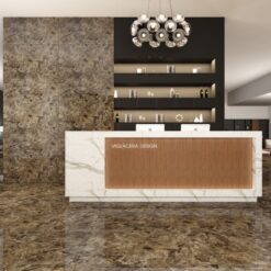 gach viglacera eco d61204 2