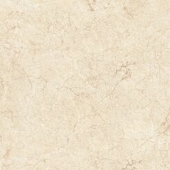 Gạch Viglacera ECO S821