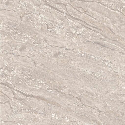 gach viglacera eco624 1