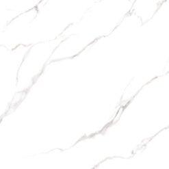 Gạch Viglacera FL52-9GP101001