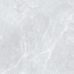 Gạch Viglacera FL52-9GP101002