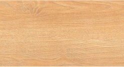 Gạch Viglacera GT21223