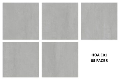 gach viglacera hoa e01 2