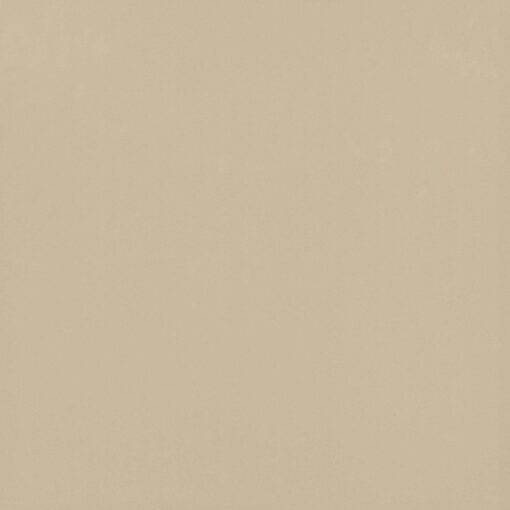 gach viglacera ny d8802 1