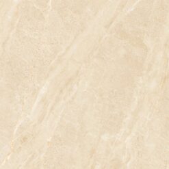 Gạch Viglacera NY3 GP6604