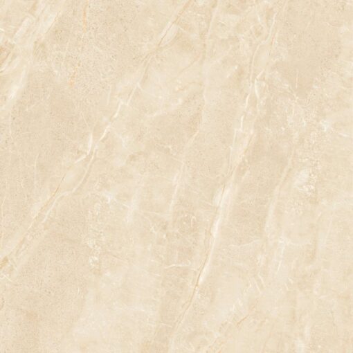 gach viglacera ny3 gp6604 3