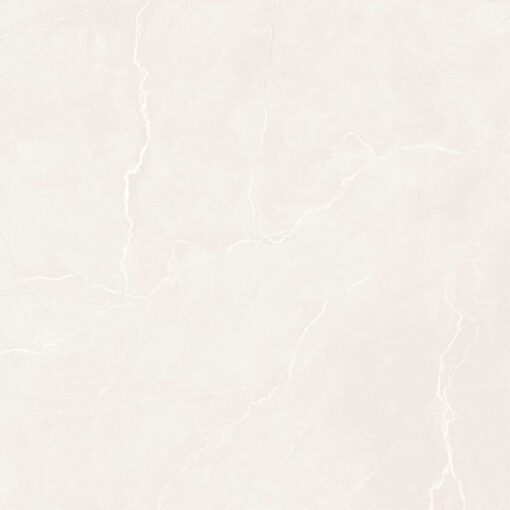 gach viglacera ny52 9gp101001 1