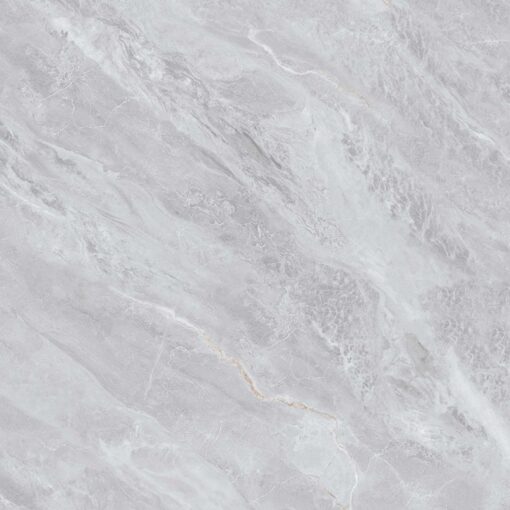 gach viglacera ny54 9gp101001 1