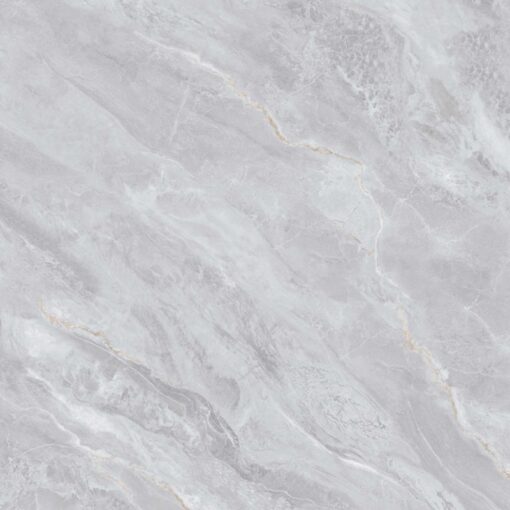 gach viglacera ny54 9gp101001 2