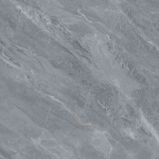 gach viglacera ny54 9gp101003 1