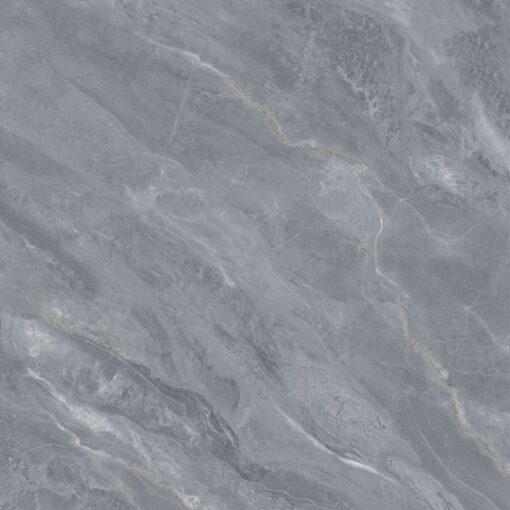 gach viglacera ny54 9gp101003 2
