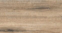 Gạch Viglacera PT-21201