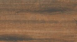 Gạch Viglacera PT-21202