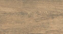 Gạch Viglacera PT-21204