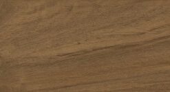 Gạch Viglacera PT-21205