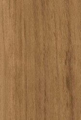 Gạch Viglacera PT-21206-T2